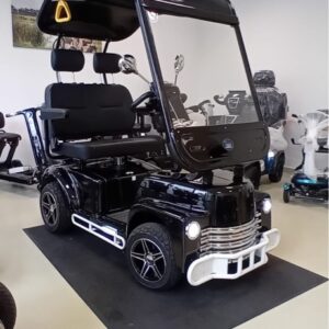 Patron Duo 2 Seniorenmobil für 2 personen mit extra viel Platz